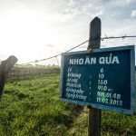 Тур Фанранг Вьетнам из Нячанга - Альфа Турс - цены на экскурсии и отзывы