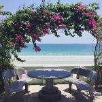 Пляж Парадайс - Экскурсии Нячанг Вьетнам - Альфа Турс - цены на экскурсии и отзывы